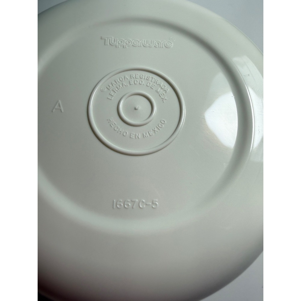 VTG Tupperware Divided Serving Platter w Center Bowl and Lid‎ Beige 3 Pc 1666-3 - Picture 11 of 12